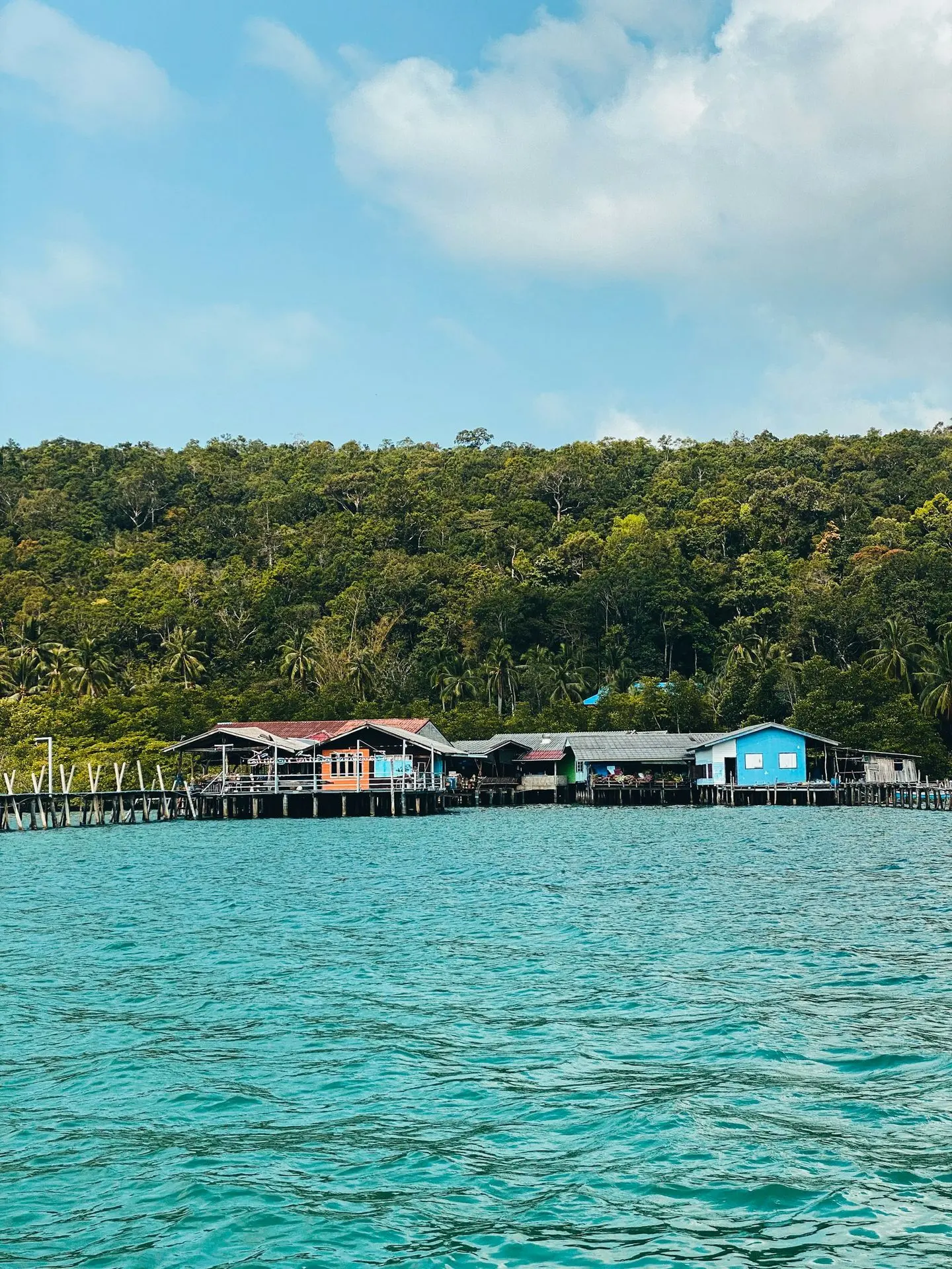 white and brown wooden house on green body of water during daytime