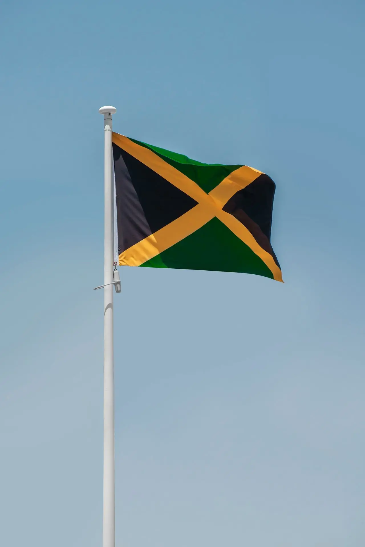 a flag on a pole